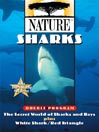 Sharks, Part 2 of 2